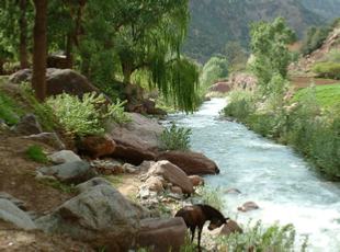 Marrakech day trip to Ourika valley Marrakech day trip to Ourika valley
